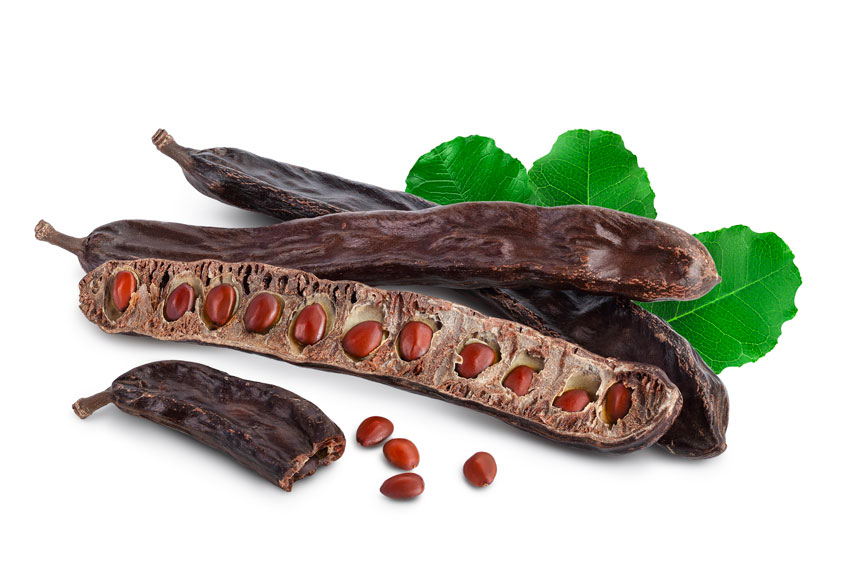 Algarrobo (ficha en inglés)