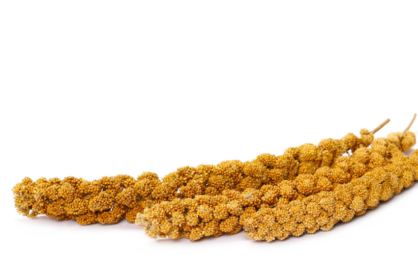 -pronto estará disponble-