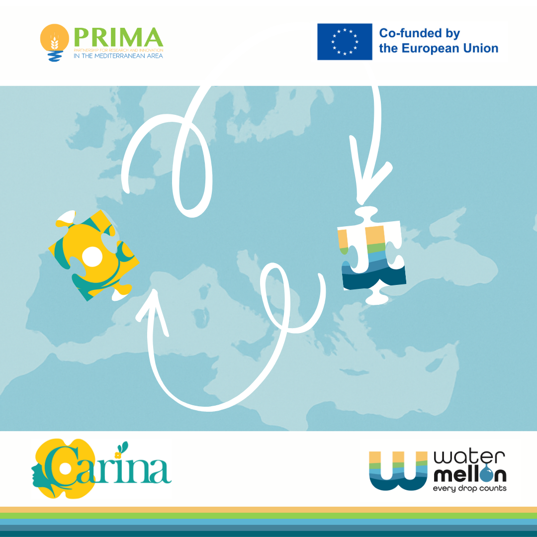 WATERMELLON y CARINA: un enfoque complementario hacia una agricultura sostenible y resiliente al clima