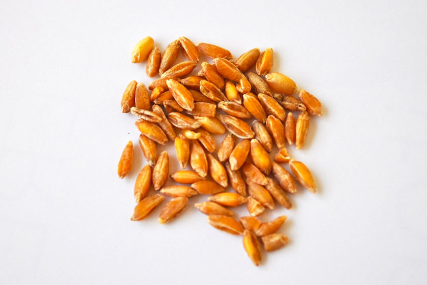 -pronto estará disponble-