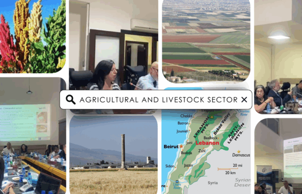 Lebanon’s agricultural and livestock sectors, the problems and the solutions