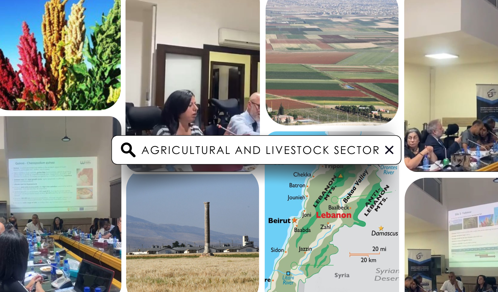 Lebanon’s agricultural and livestock sectors, the problems and the solutions