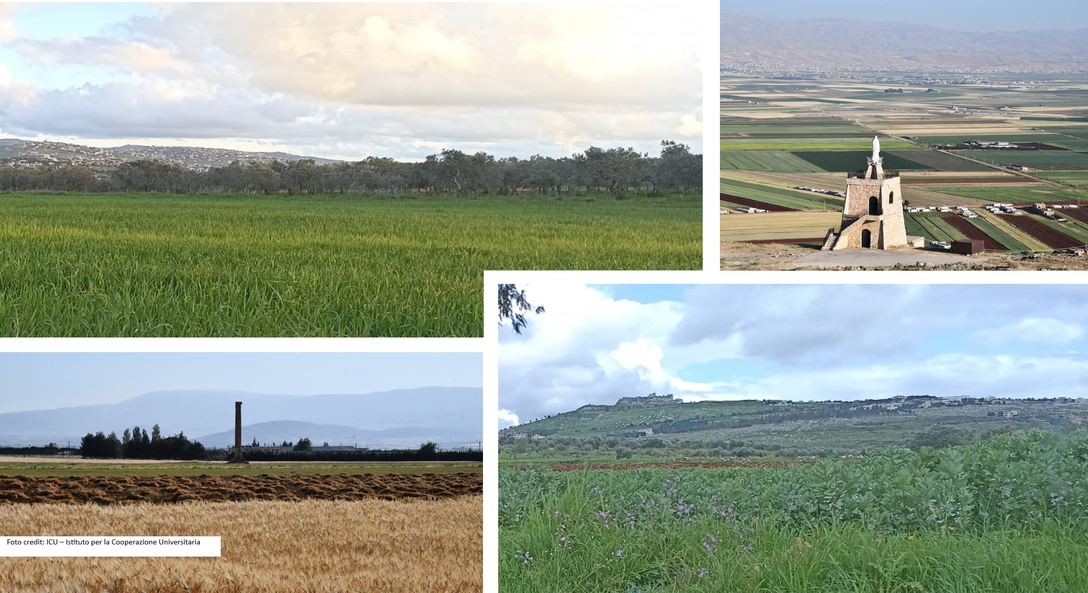 Informe sobre los primeros talleres de interesados de WaterMellon celebrados en Líbano