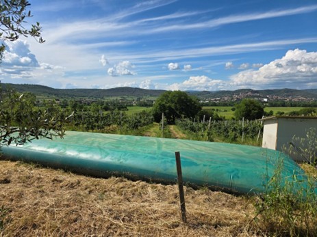 CREA-IT lidera la resiliencia hídrica y las innovaciones agrícolas en el proyecto WATERMELLON