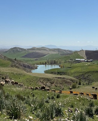 Implementation of a Water Harvesting System at the Setif Demonstration Site, Algeria