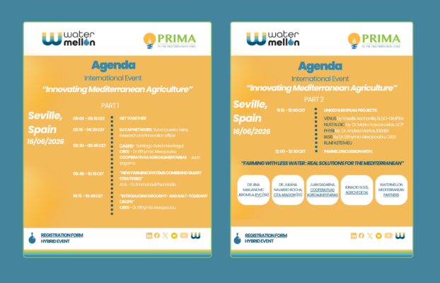 Inovação na agricultura mediterrânica: evento internacional do projeto WATERMELLON