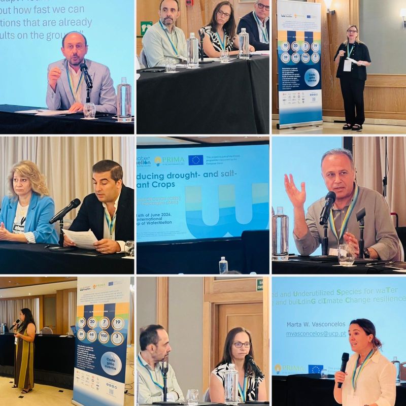 WATERMELLON PRIMA brings together Mediterranean actors to accelerate sustainable agricultural innovation