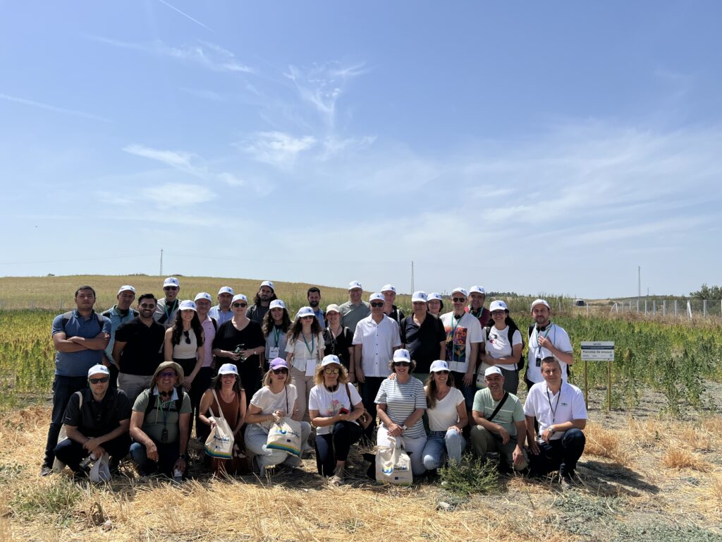 Quinoa field visit