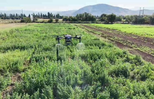 University of Thessaly Demonstrates Drone Technology for Sustainable Quinoa Cultivation