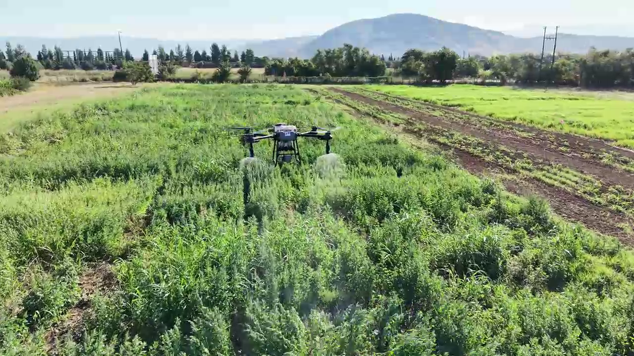 University of Thessaly Demonstrates Drone Technology for Sustainable Quinoa Cultivation
