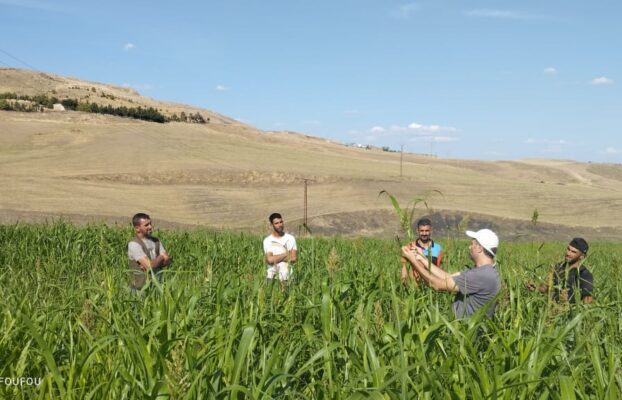 WaterMellon organizza il terzo incontro del Gruppo Regionale degli Agricoltori in Algeria per mostrare pratiche agricole resilienti alla siccità