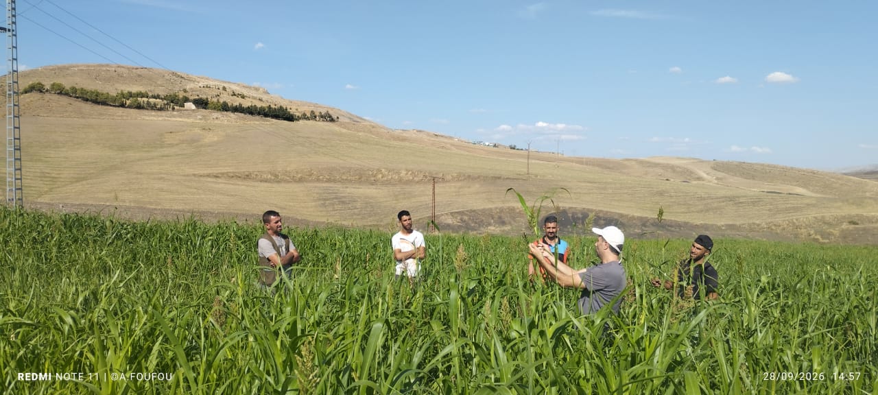 WaterMellon organise la troisième rencontre du Groupe régional d’agriculteurs en Algérie pour présenter des pratiques agricoles résilientes à la sécheresse